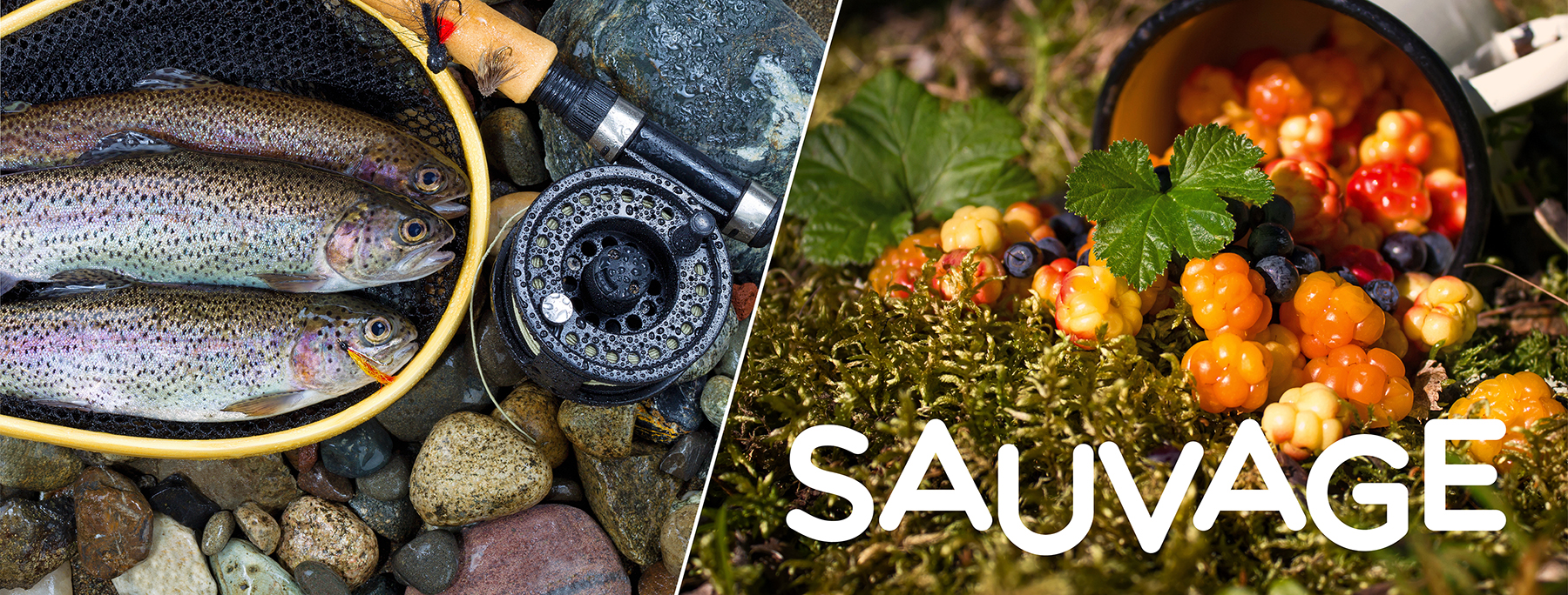 Sauvage !